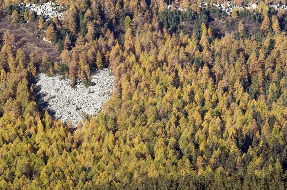 Apartmán Casa Le Rondini Valdisotto Exteriér fotografie